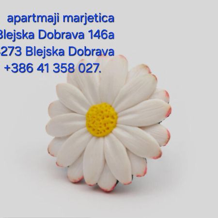 Apartma Marjetica Blejska Dobrava Bagian luar foto