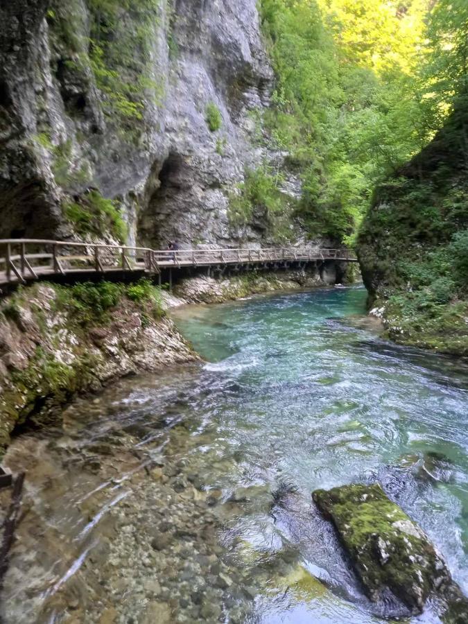 Apartma Marjetica Blejska Dobrava Bagian luar foto