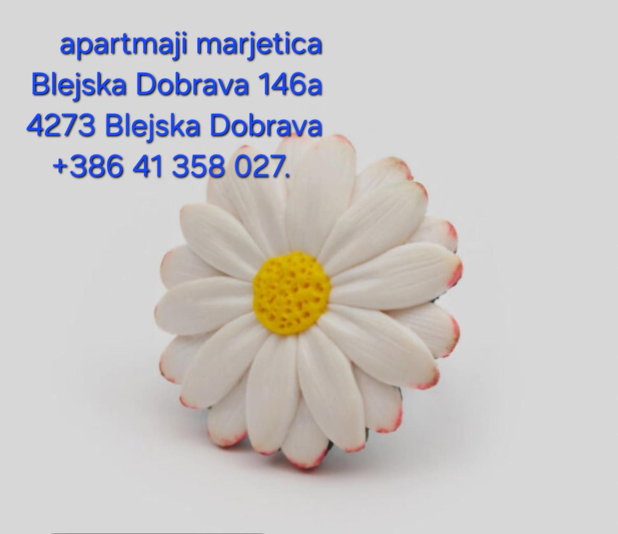 Apartma Marjetica Blejska Dobrava Bagian luar foto