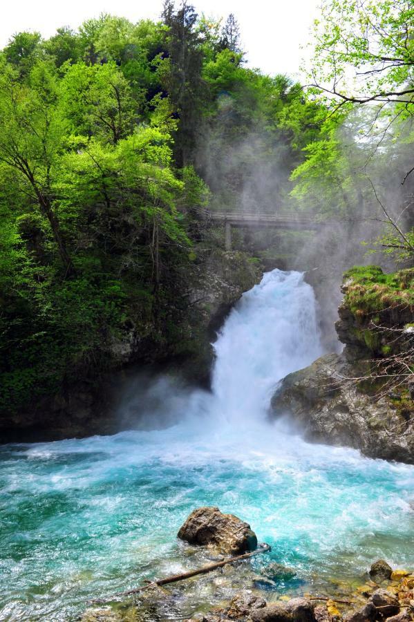 Apartma Marjetica Blejska Dobrava Bagian luar foto