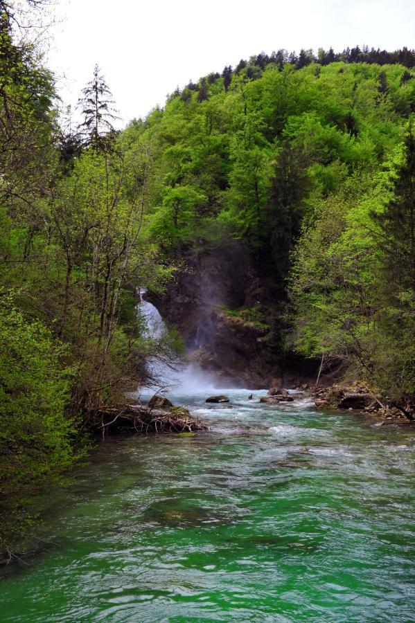 Apartma Marjetica Blejska Dobrava Bagian luar foto