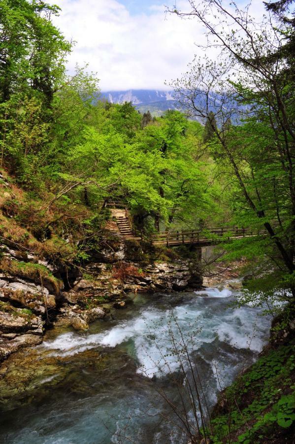 Apartma Marjetica Blejska Dobrava Bagian luar foto