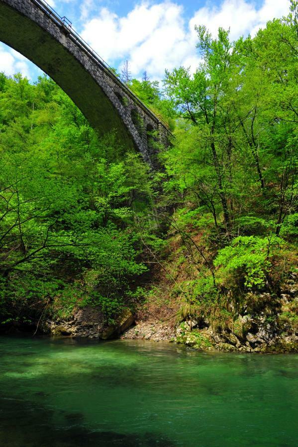 Apartma Marjetica Blejska Dobrava Bagian luar foto