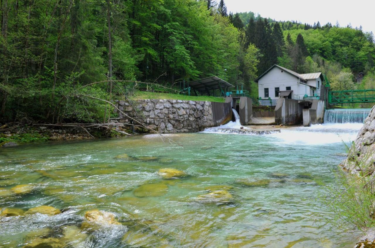 Apartma Marjetica Blejska Dobrava Bagian luar foto